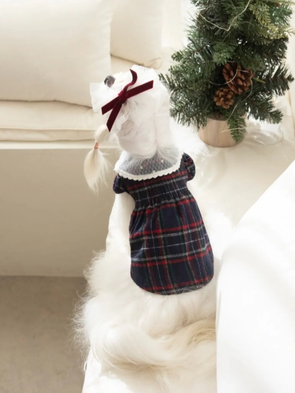 Plaid Lace-Collar Dog Dress with Velvet Bow - White & Red